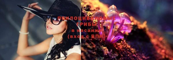 spice Алексин
