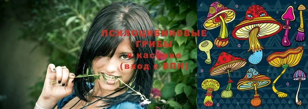 хмурый Алексеевка