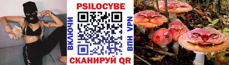 Галлюциногенные грибы MAGIC MUSHROOMS  МЕГА маркетплейс  Бавлы 